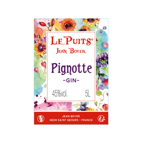 GIN PIGNOTTE
