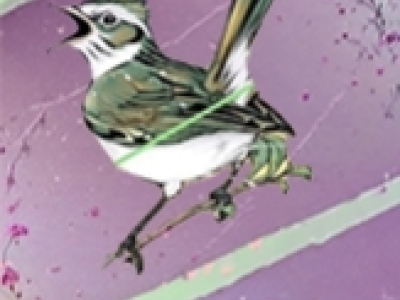 Salon de vins et Spiritueux